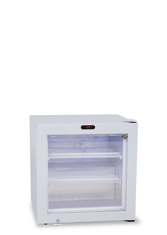 PETIT CONGELATEUR EXPOGLASS 61